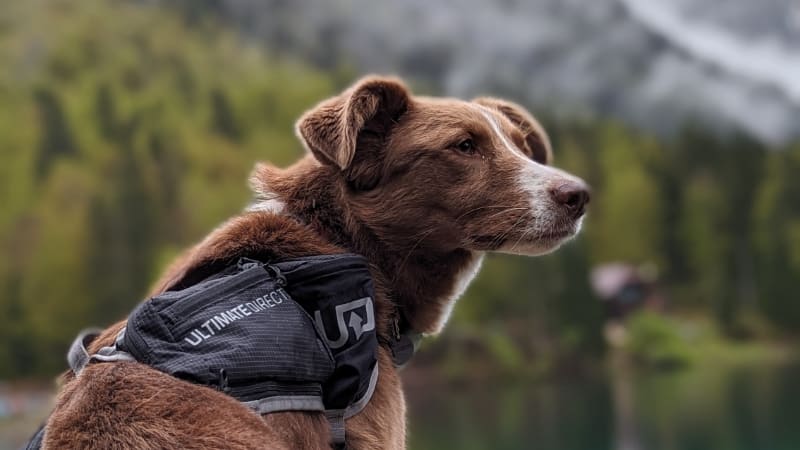 Konrad KOCOWSKI-GÓRSKI