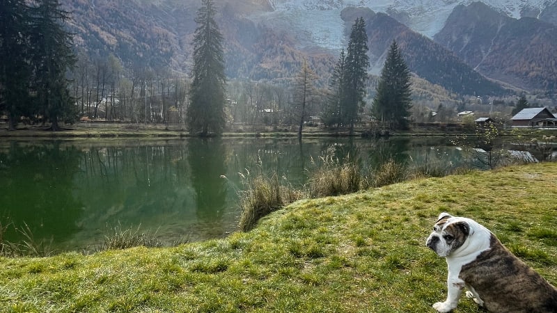 Christelle STURTZ FROEHLICHER