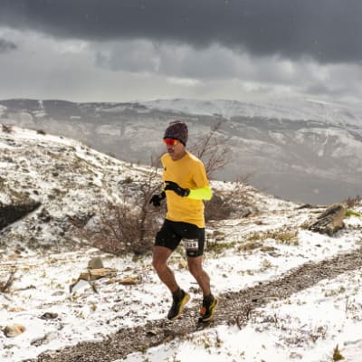 Daniel URIBE CARRASCO