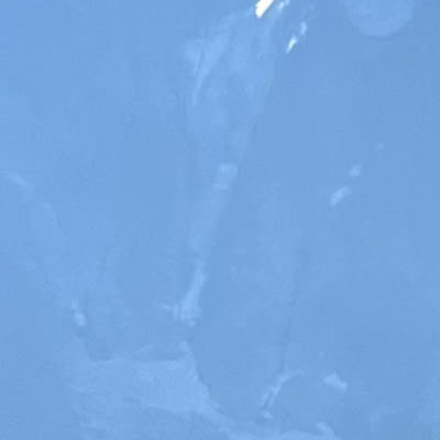 Javier ALARCON SALVADOR