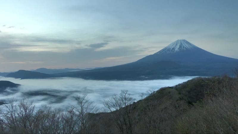 Tadashi WATANABE