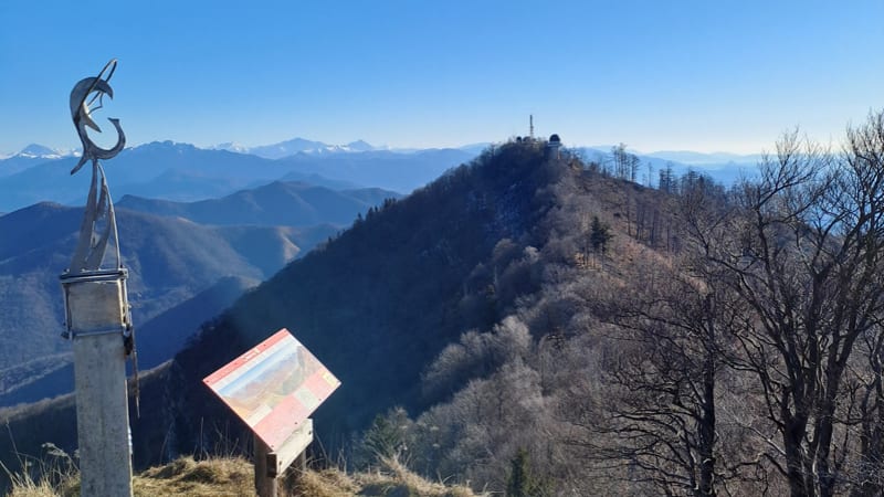 Marco Alfonso LA MONICA