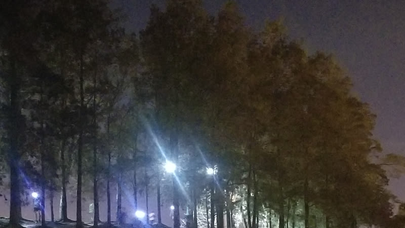 Marcelo Pablo MULTISANTI