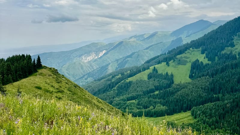 Adylzhan KUSHKINBAYEV