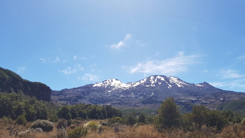 Jeff VAN DER SANDE LACOSTE