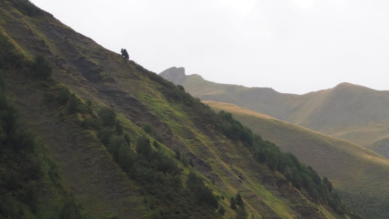 Lleïr BARCONS COMAPOSADA