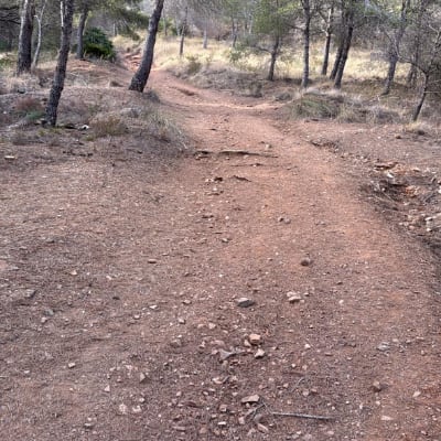 Gines Alfonso MARIN HERNANDEZ