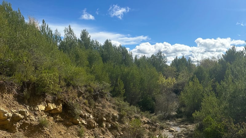 Stéphanie BOUZIGUES