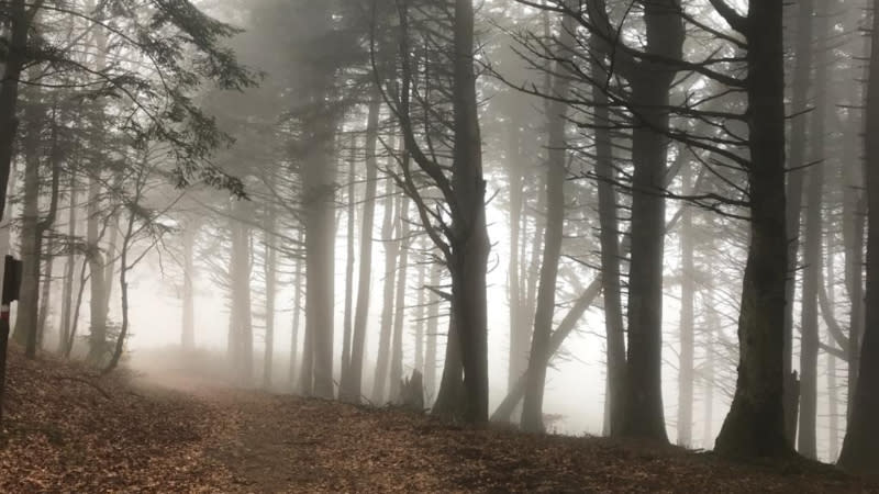 Fabrizio ANDREASI BASSI