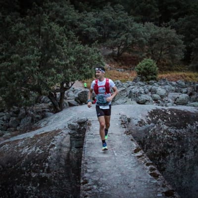 Carlos HIDALGO VILLAR