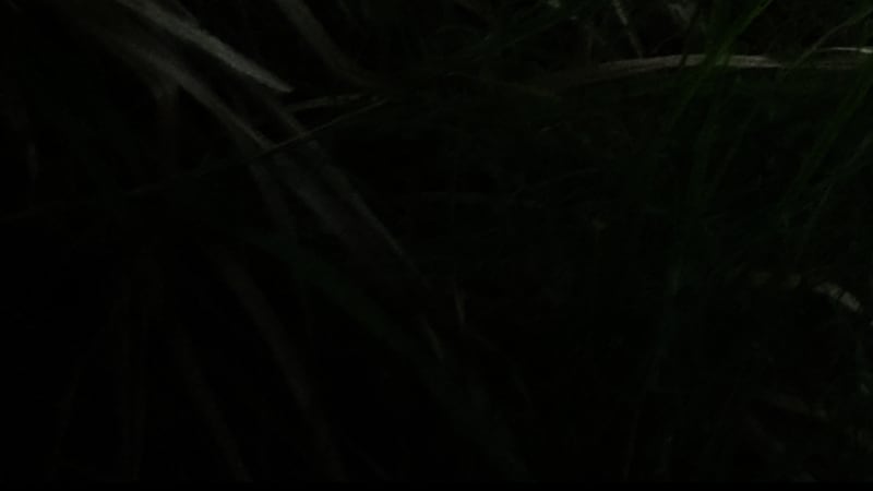 Jeffri G LENDIHAN LIAWAN