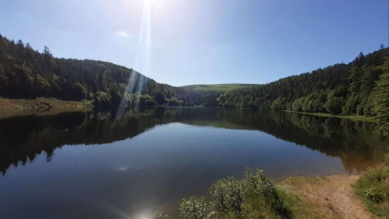 Michael PETITDEMANGE