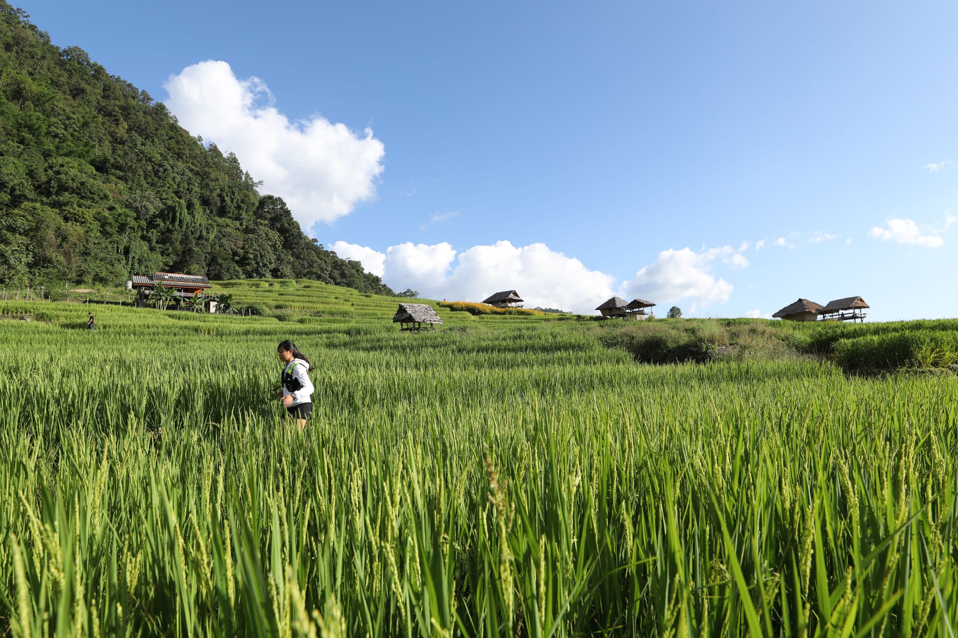 UTMB Live - HOKA Chiang Mai Thailand by UTMB® 2025