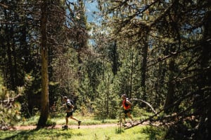 LAST CALL FOR TRAIL 21K