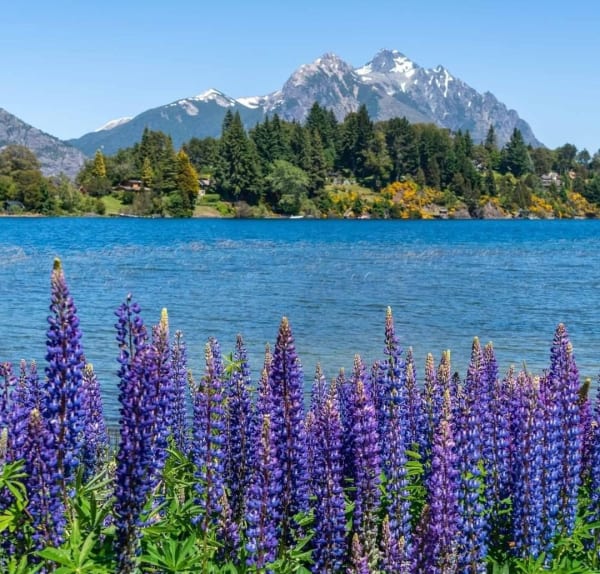 NAHUEL HUAPI 33K