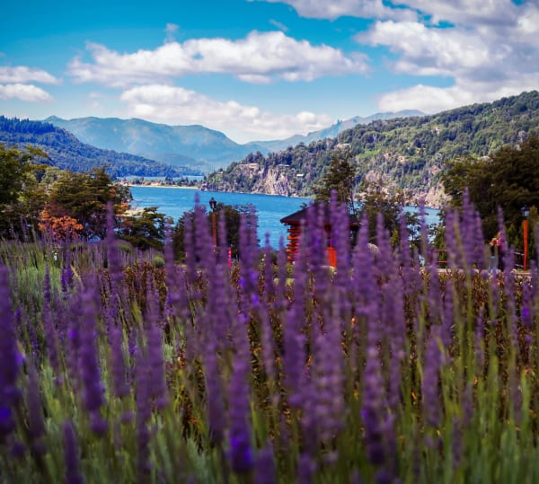 NAHUEL HUAPI 33K