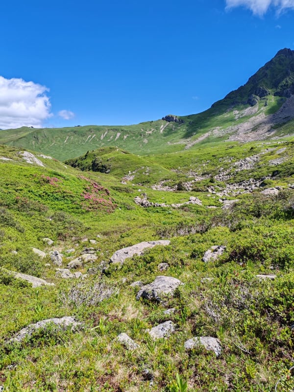 ON LES TRACES DES DUCS DE SAVOIE