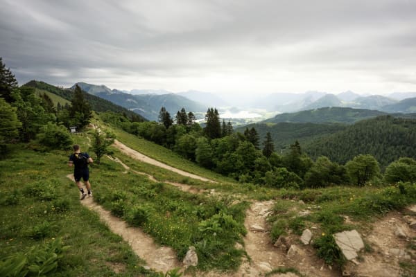 Mountain Protection Insurance