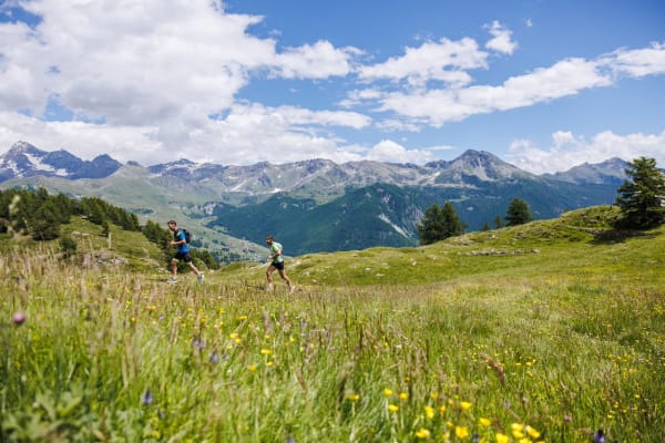 Valtournenche