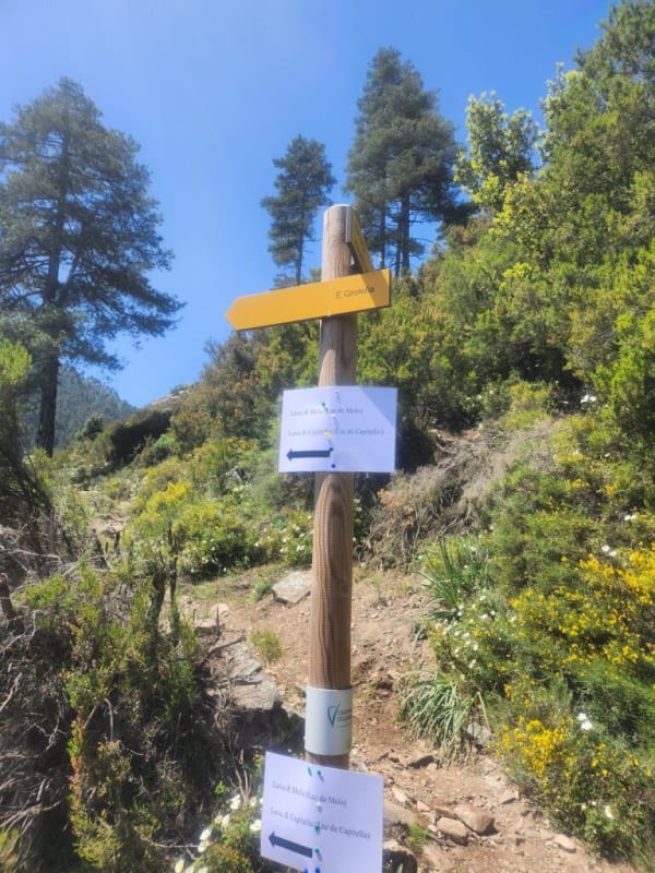 Le passage du dernier relais