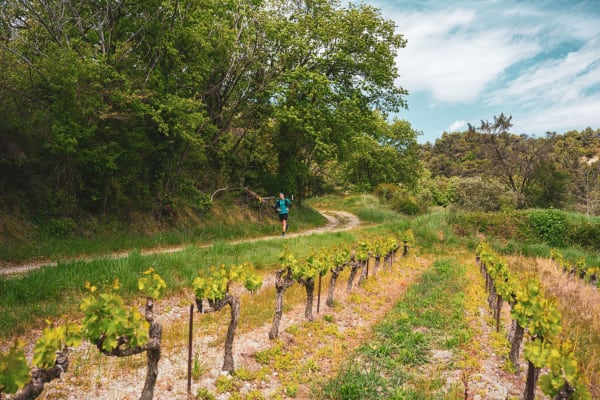 On the trails of Mont Ventoux