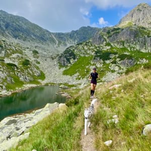 Hajnalka FOGARASI avatar