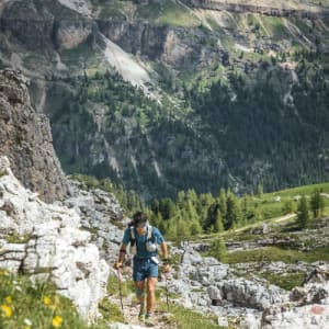 Francesco Claudio GALLO avatar