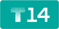 T14