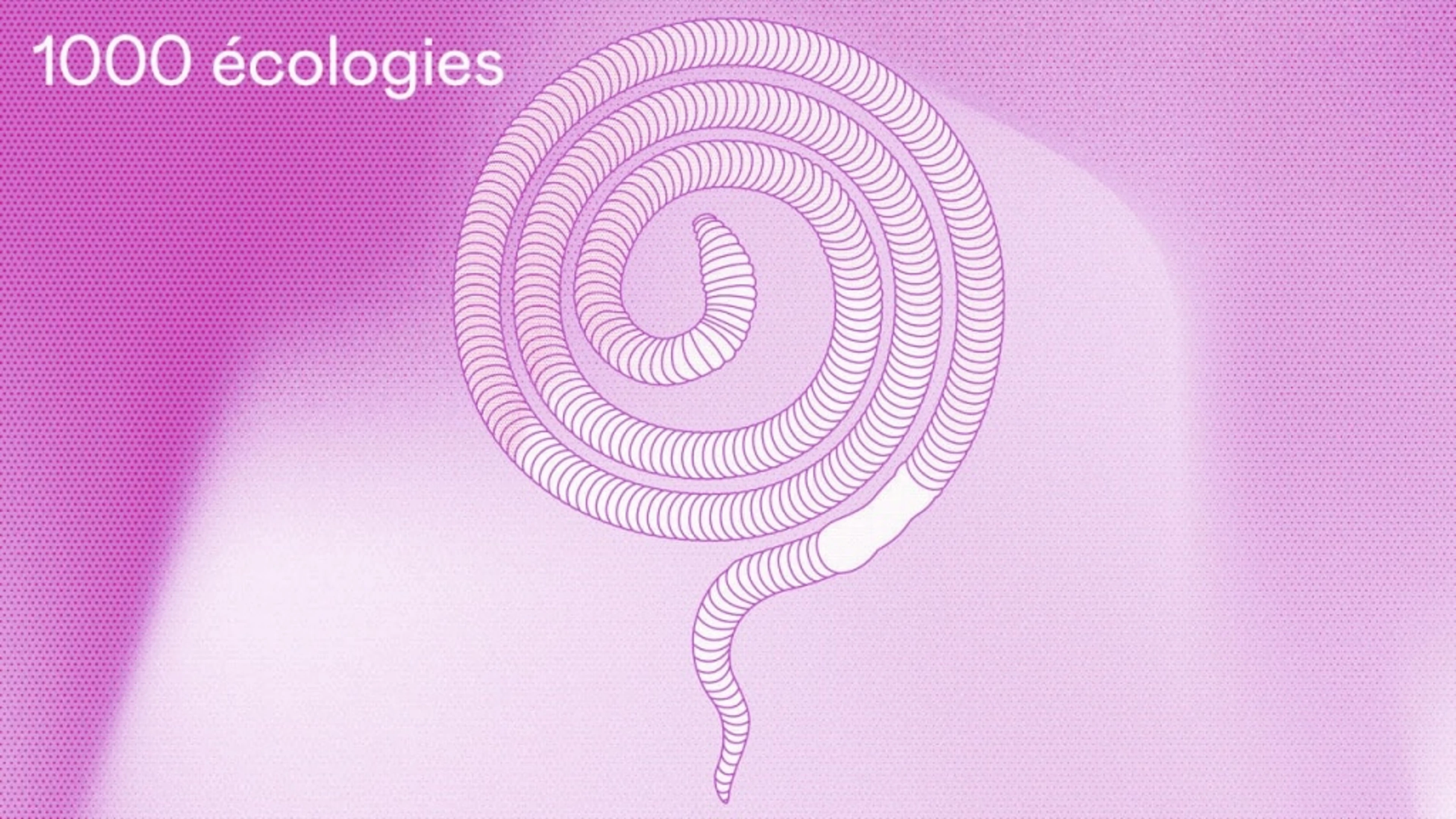 Proposition image