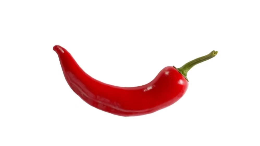 Fresh red chili