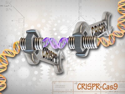 CRISPR