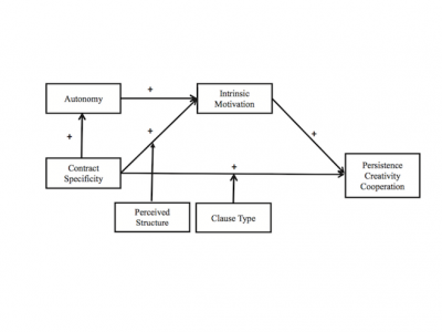 CAMPS Model