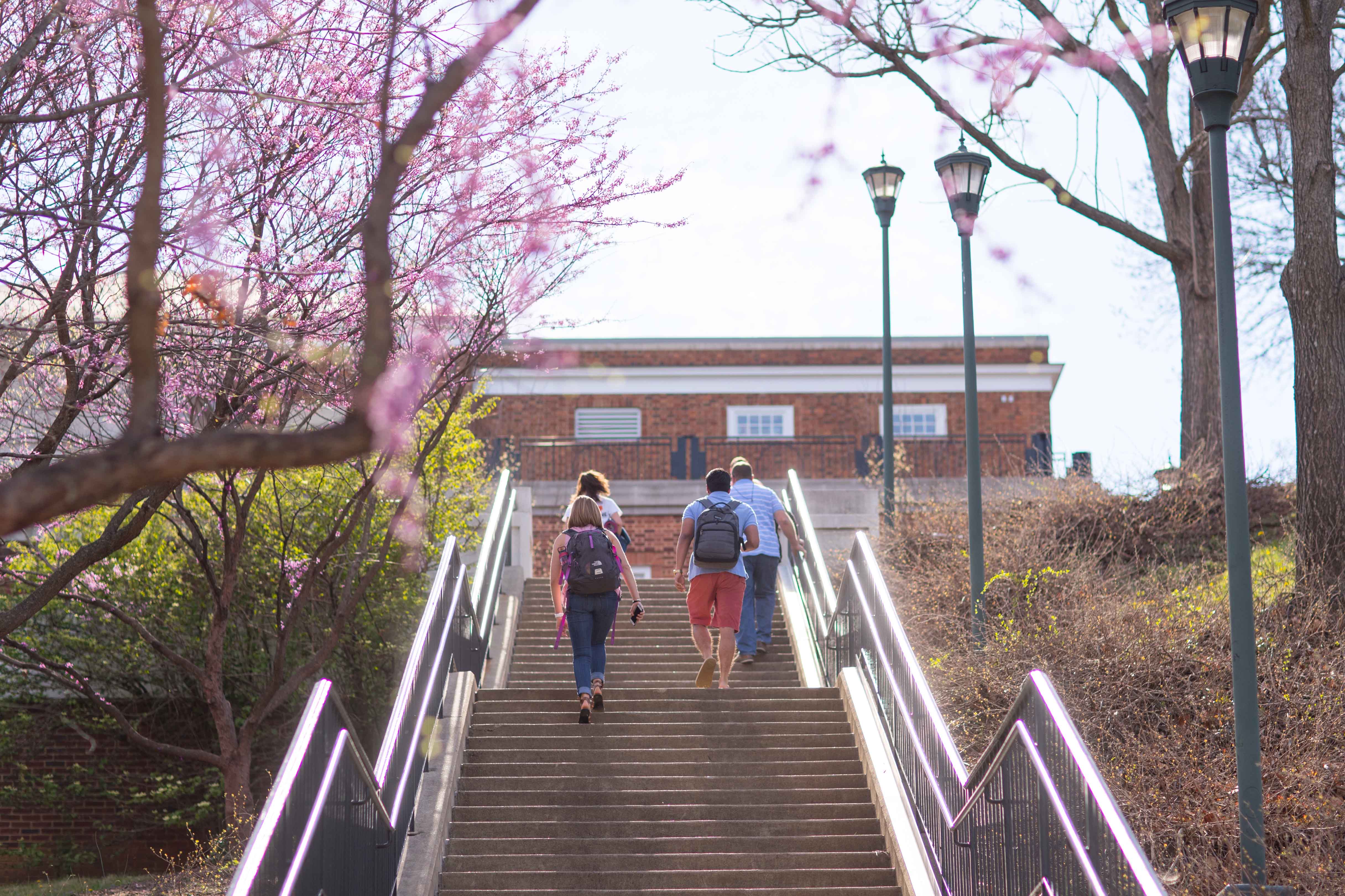 Students walking outside