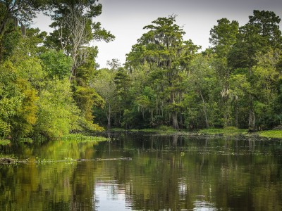 Bayou