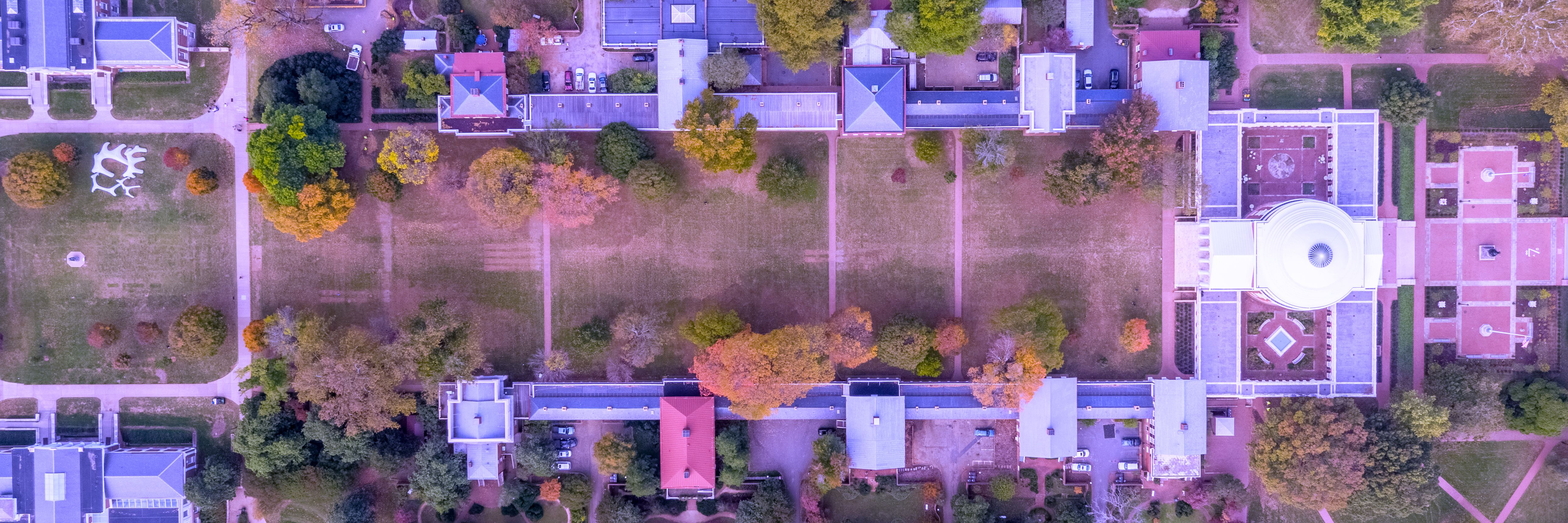 Lawn Aerial