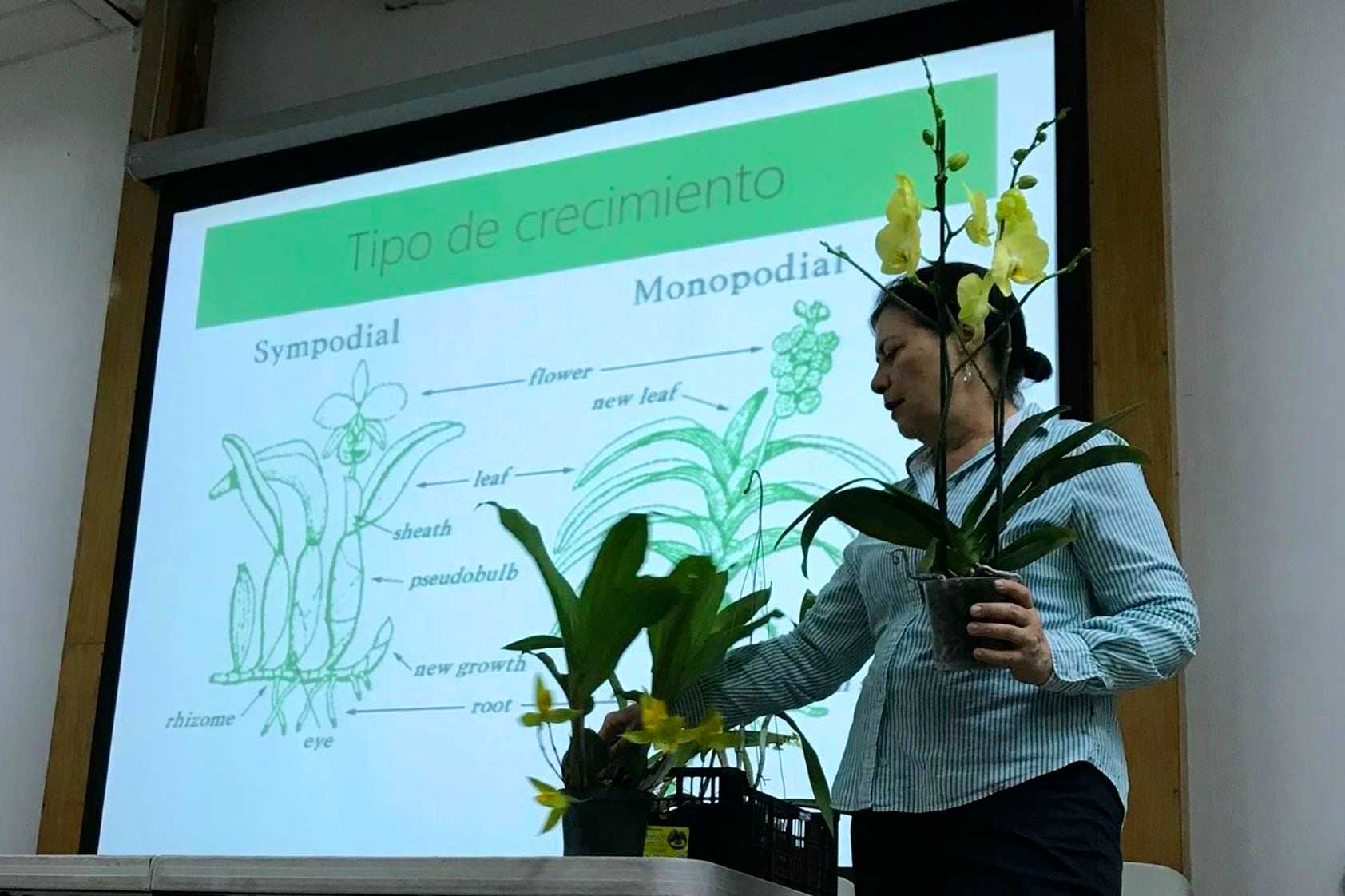 Conferencia: Manejo y cuidado de orquídeas y bromelias