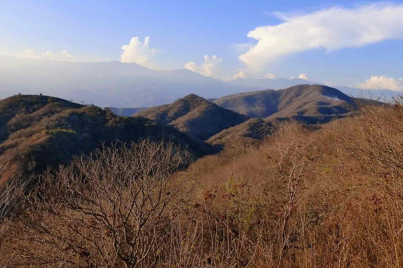 10 tesoros únicos del Bosque seco de Guatemala
