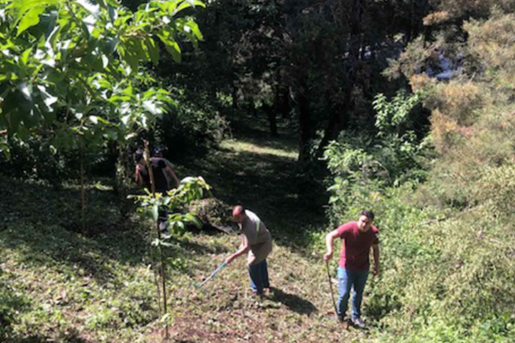 UVG promueve un plan de reforestación - foto4