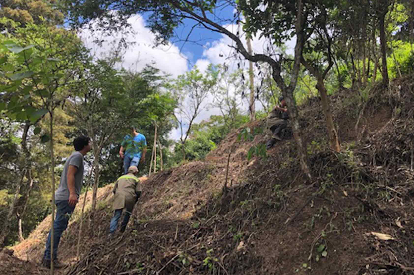 UVG promueve un plan de reforestación - foto6