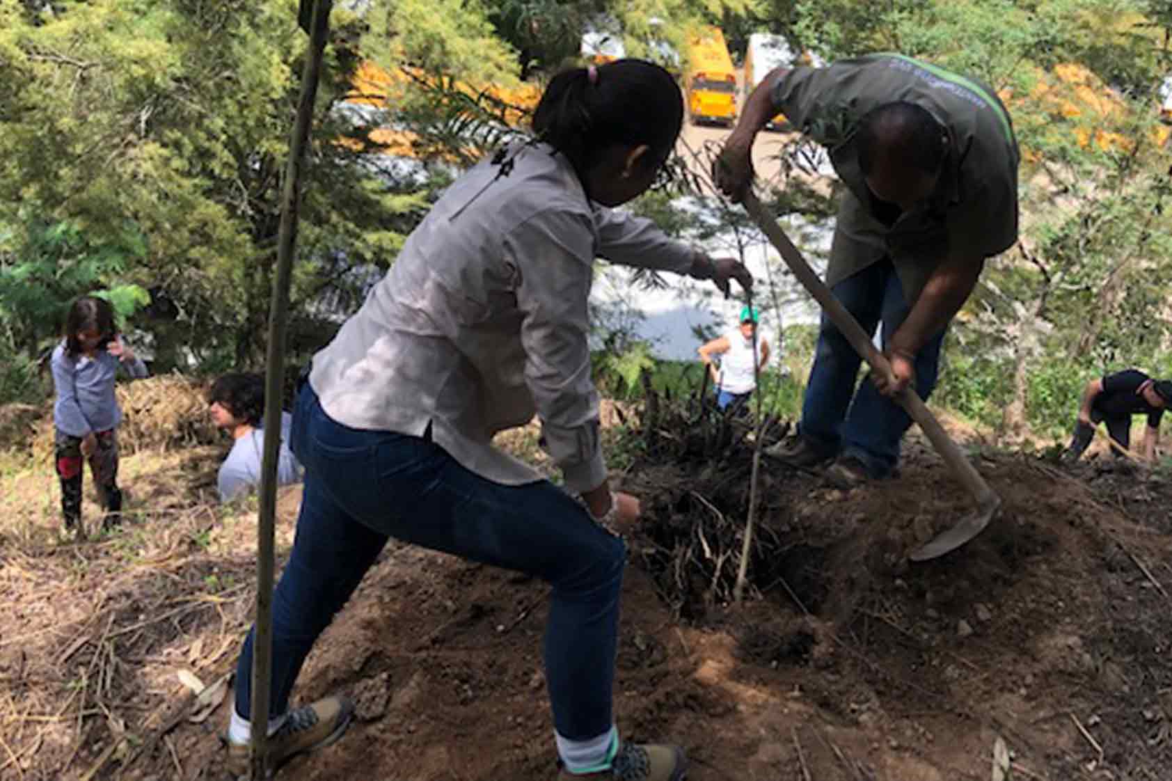 UVG promueve un plan de reforestación - foto8