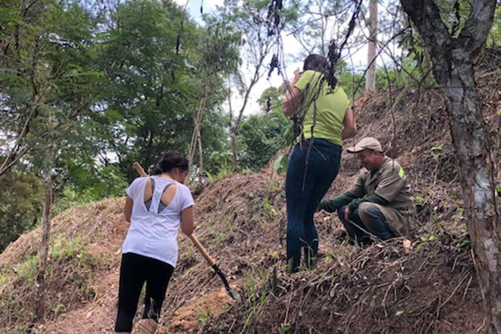 UVG promueve un plan de reforestación - foto9