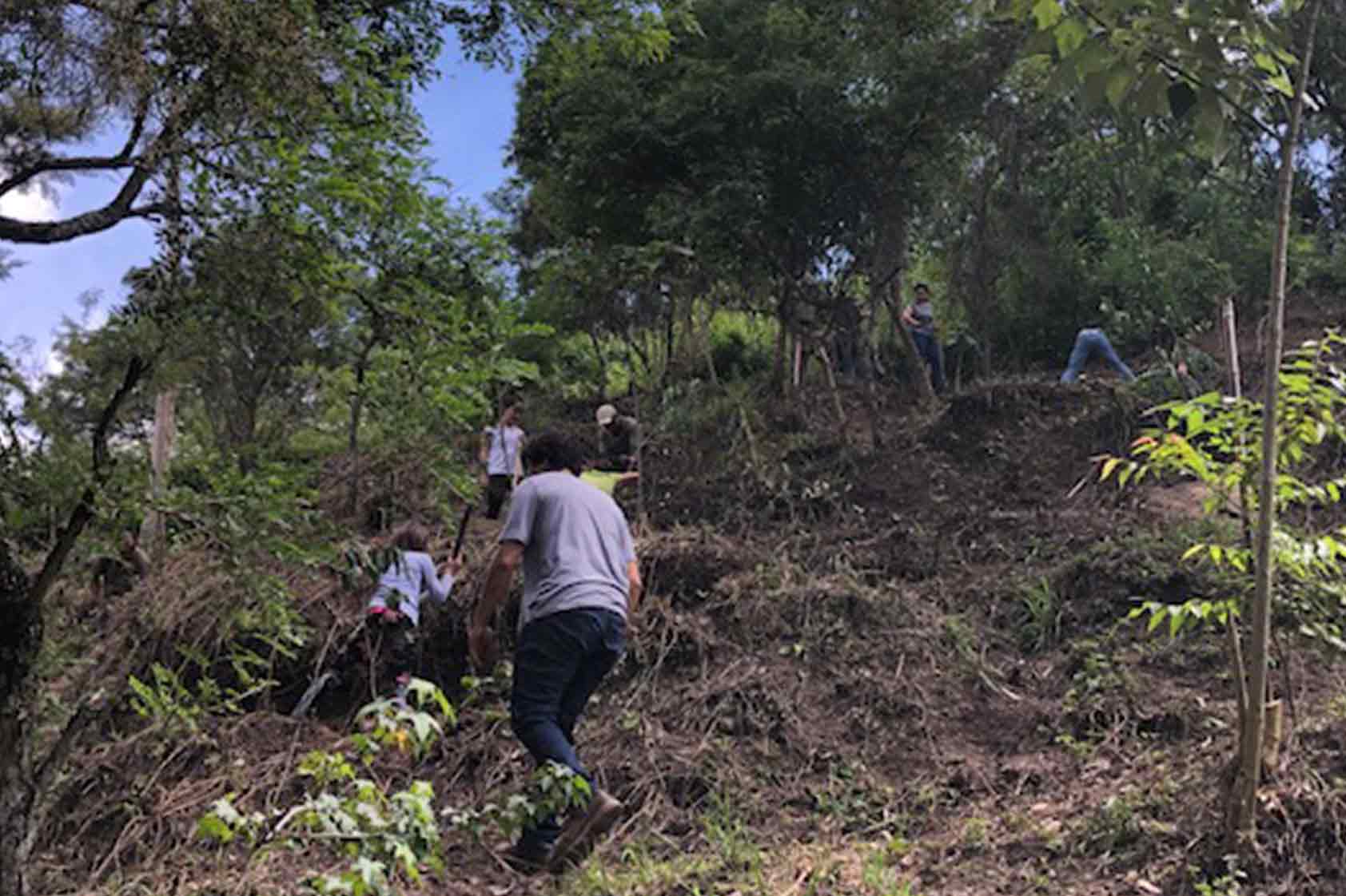 UVG promueve un plan de reforestación - foto11