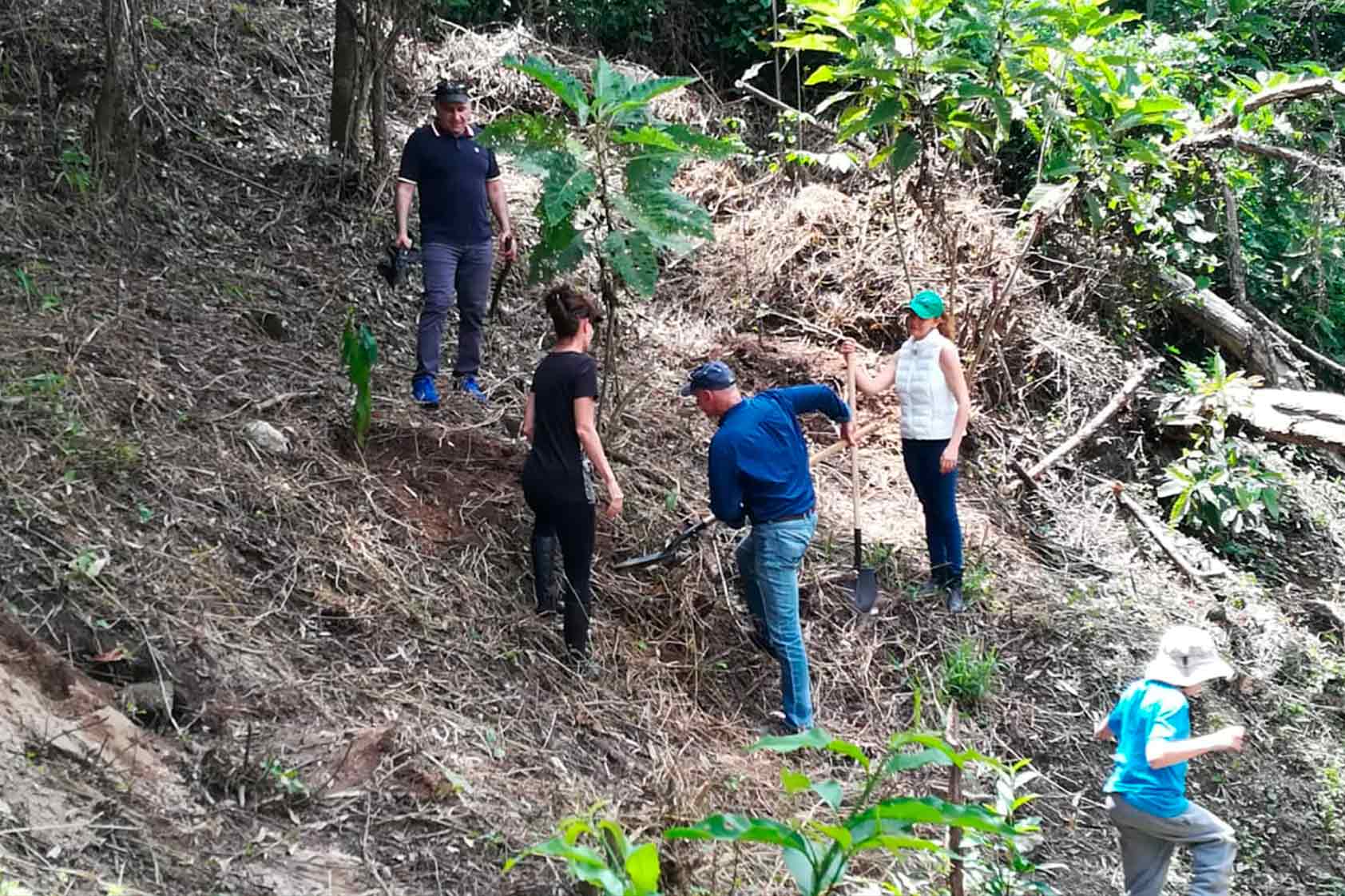 UVG promueve un plan de reforestación - foto13