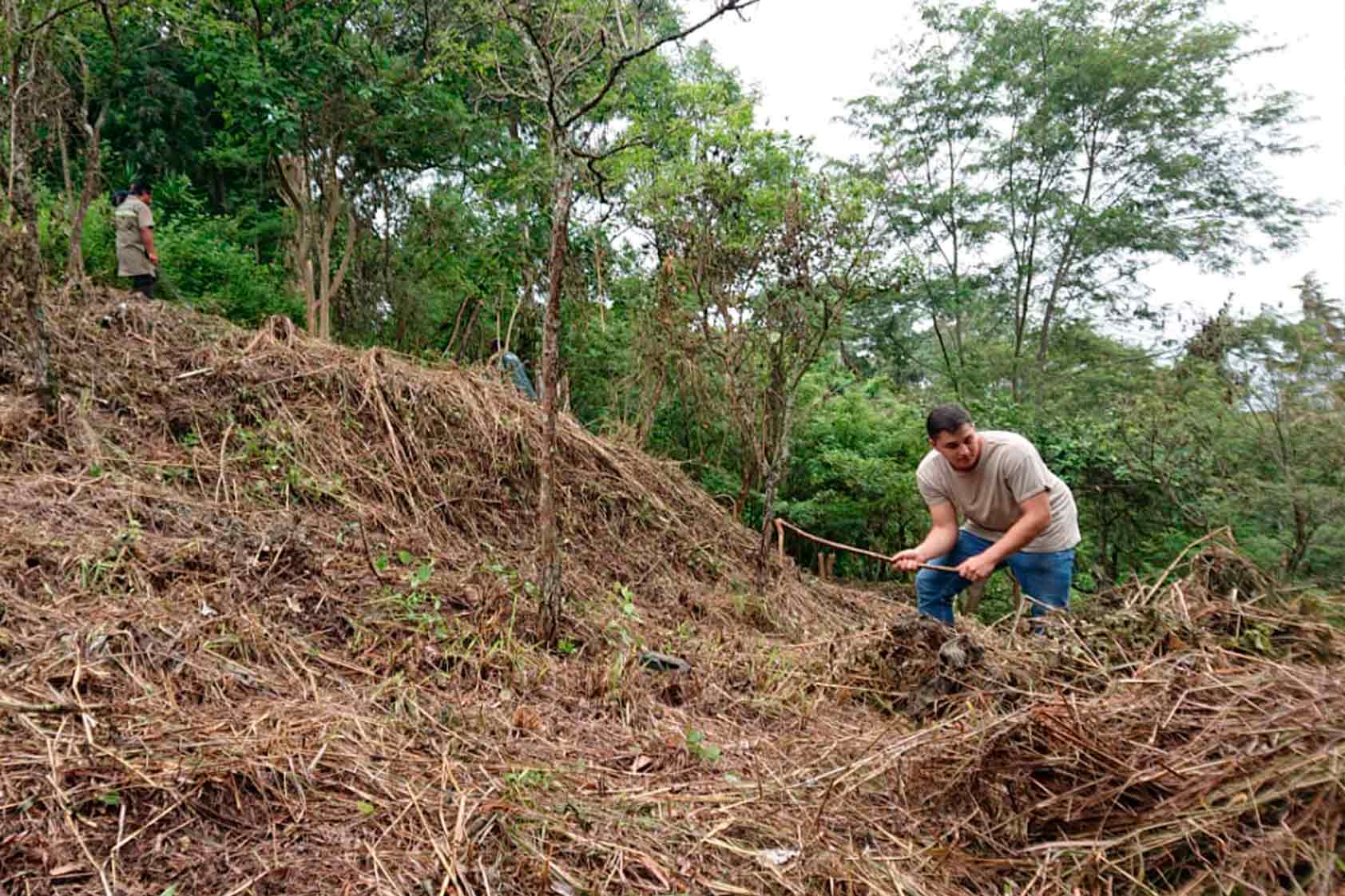 UVG promueve un plan de reforestación - foto14