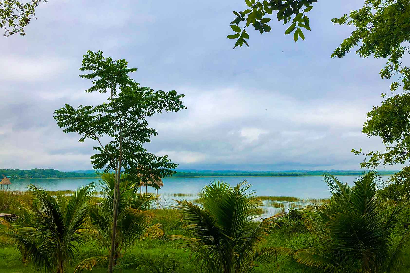 ¿Y si nuestro proyecto de clase es crear un asistente web para hacer denuncias ambientales? ¿Y si nuestro proyecto de clase es crear un asistente web para hacer denuncias ambientales?