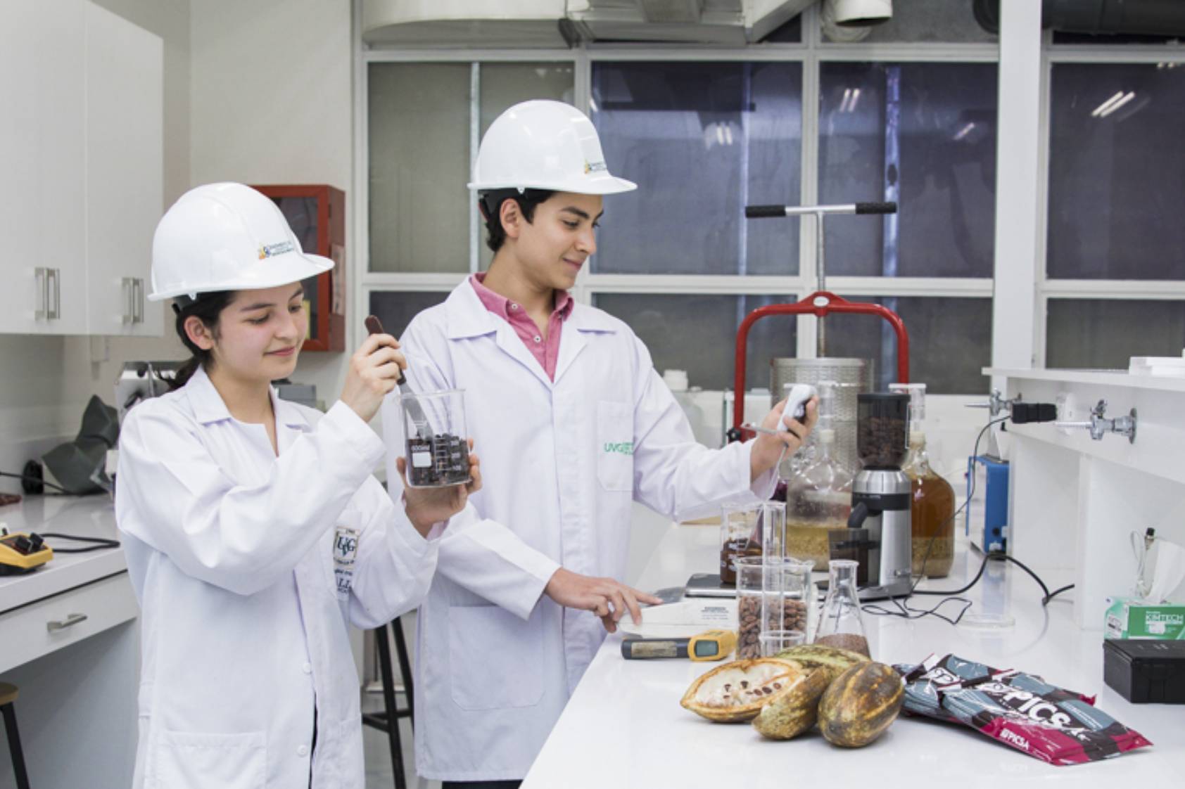 Innovación en alimentos, un foro en línea de alto valor