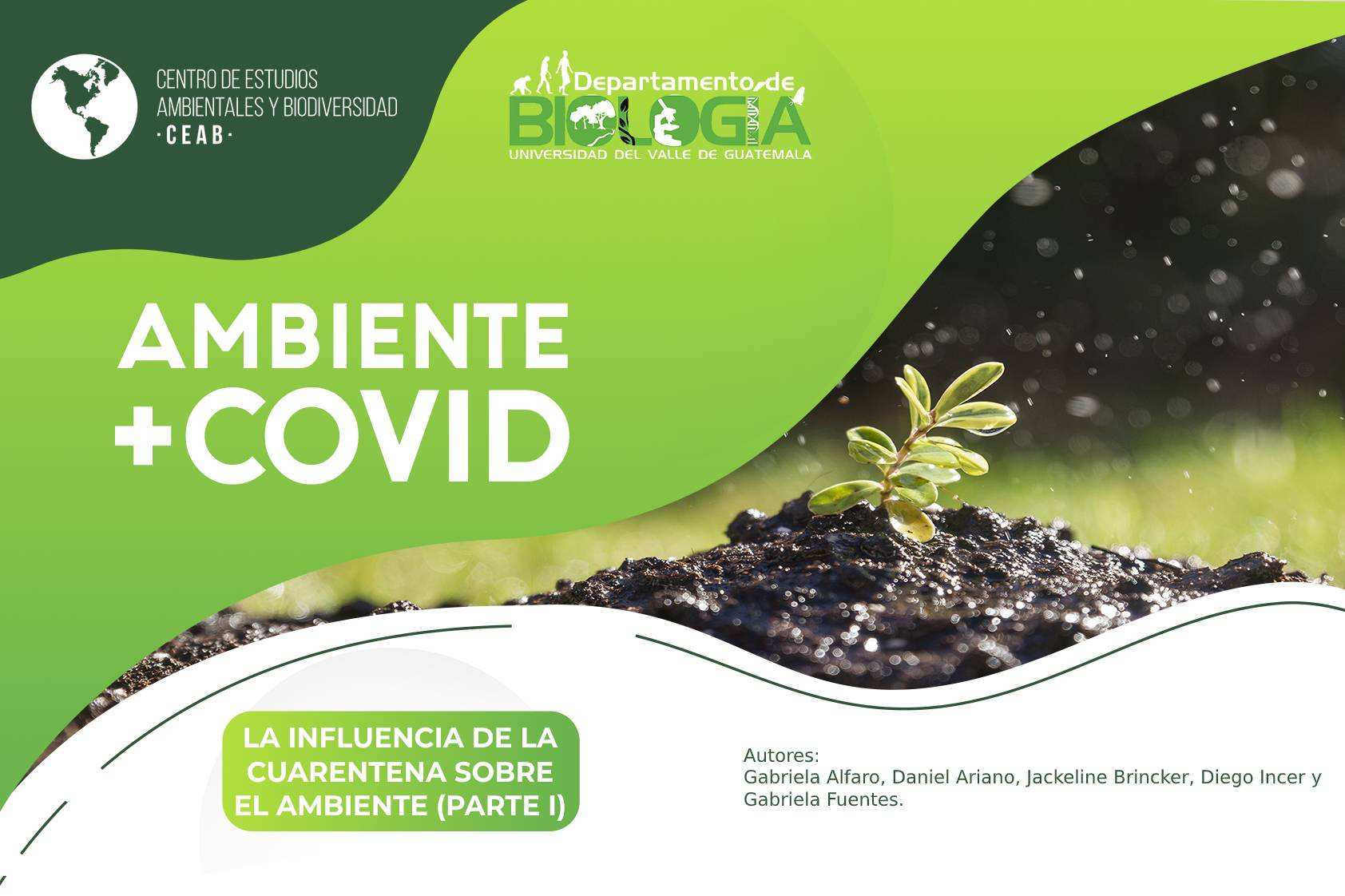 Influencia de la cuarentena sobre el ambiente (Parte I)