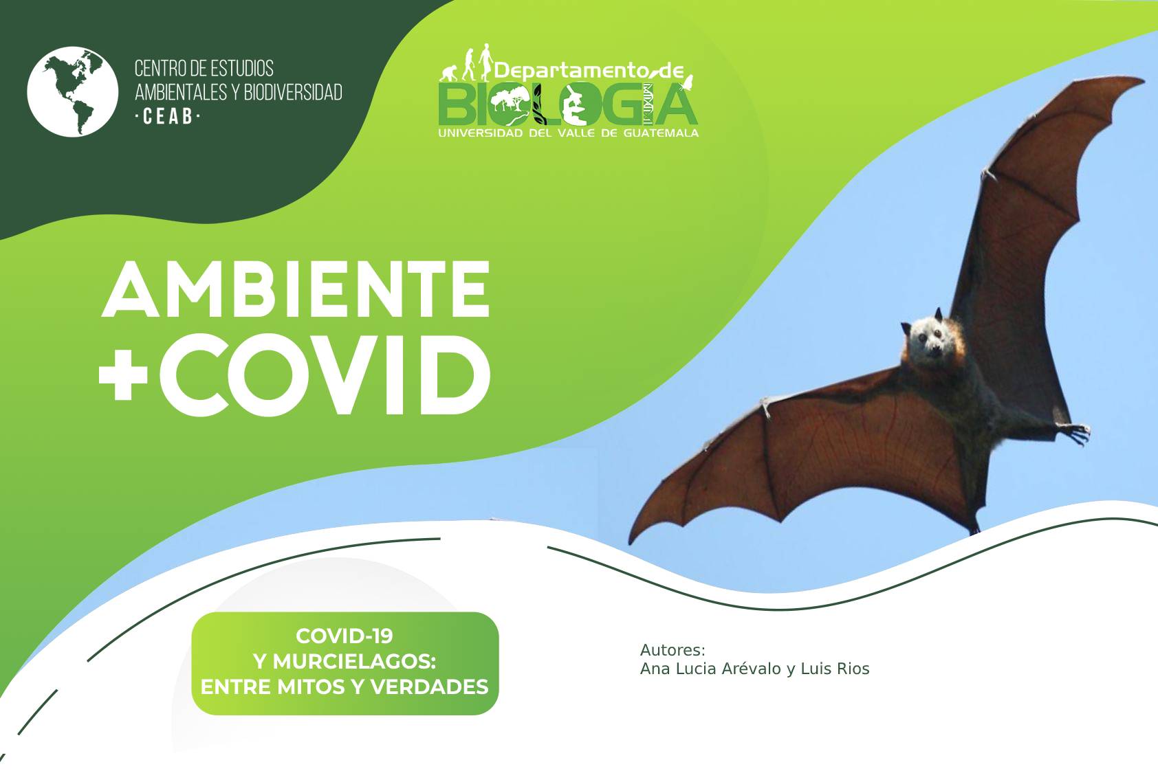 COVID-19 y murciélagos: Entre mitos y verdades