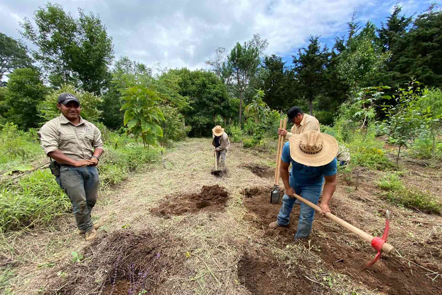 Conoce el Jardín Etnobotánico de UVG en Campus Altiplano