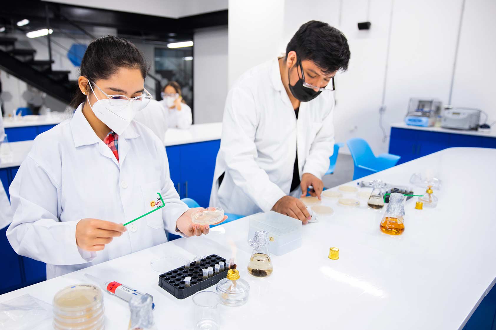 La Biología Sintética proyecta más investigación en el B-Hive